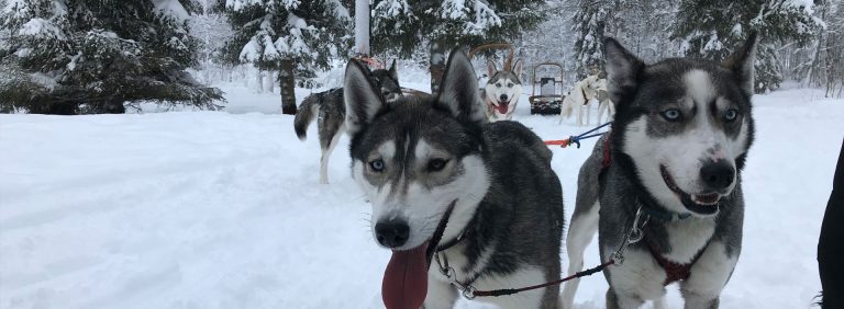 header-04-keistadtours-lichtenvoorde